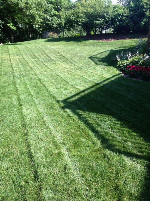 Lawn Care