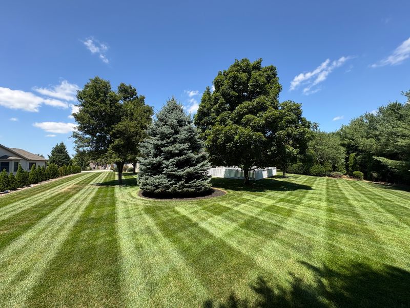 Mowing