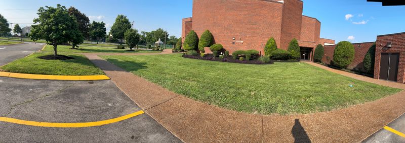 Shrub Trimming