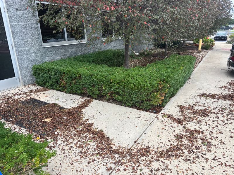 Landscaping and Irrigation Systems Repair