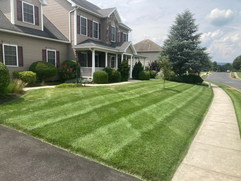 Lawn Maintenance