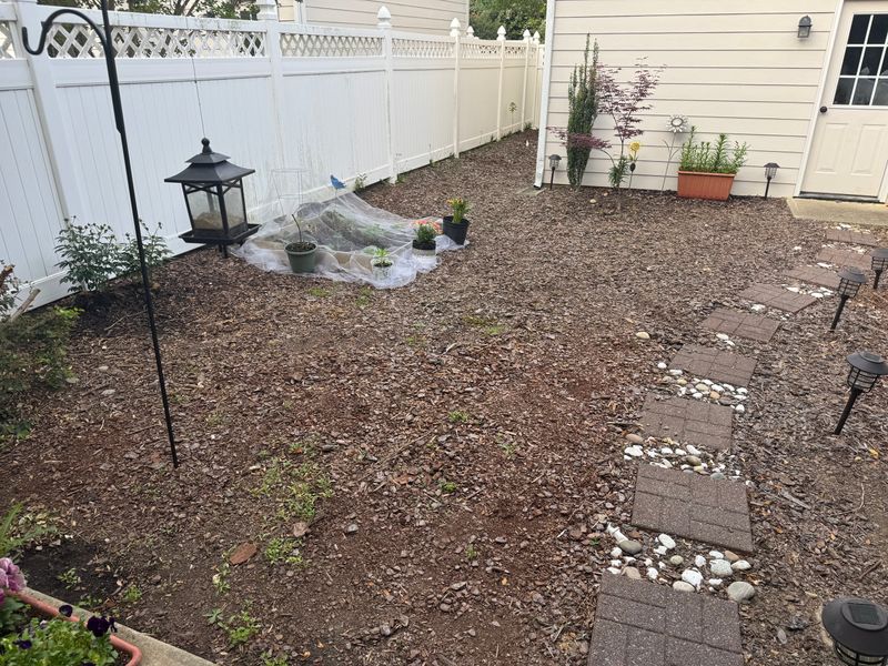 Sod Installation gallery