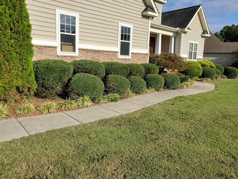 Landscaping