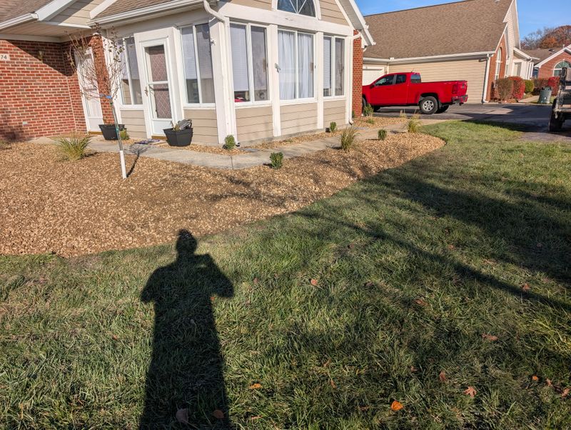 Shrub Trimming