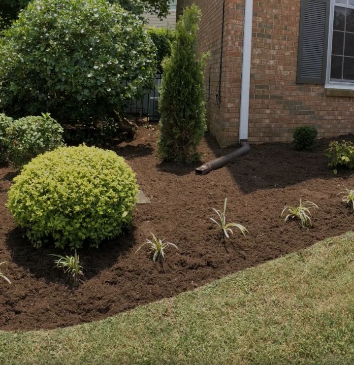 Mulch Installation