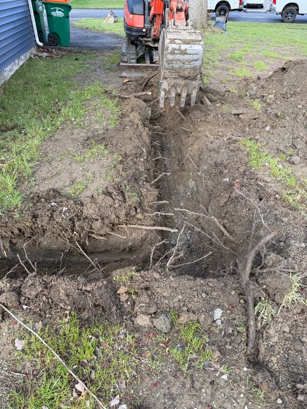 Landscape Design & Construction