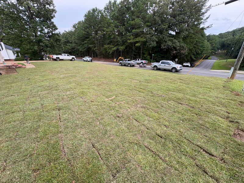 Lawn care