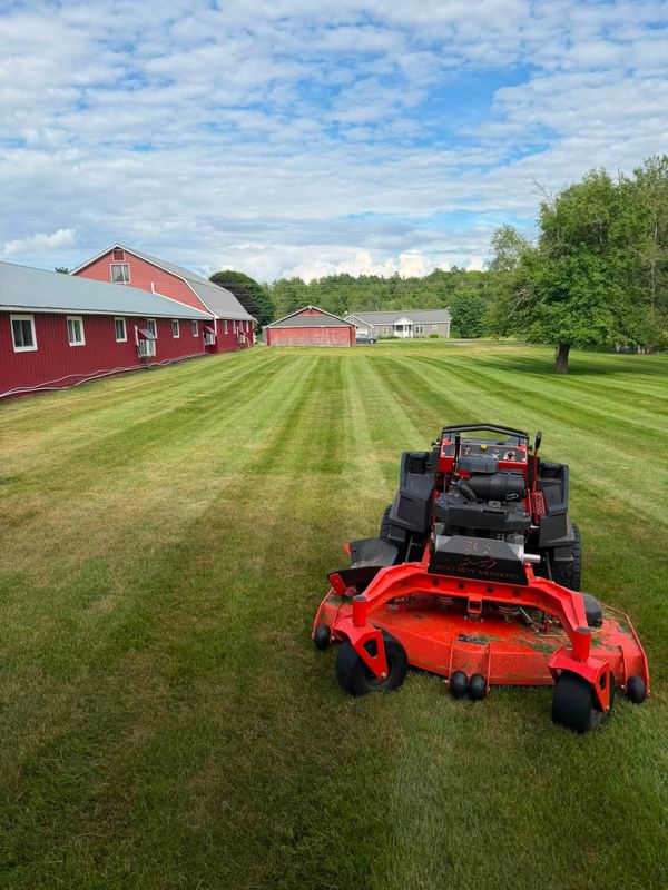 Lawn Maintenance