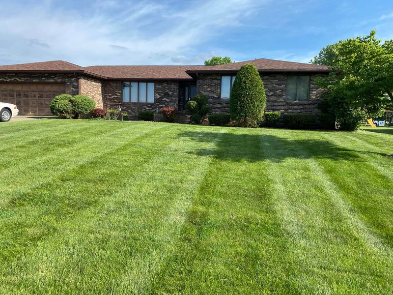 Shrub Trimming