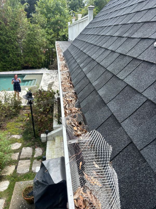 Gutter Cleaning