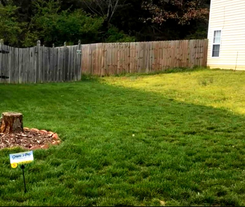 Aeration & Seeding