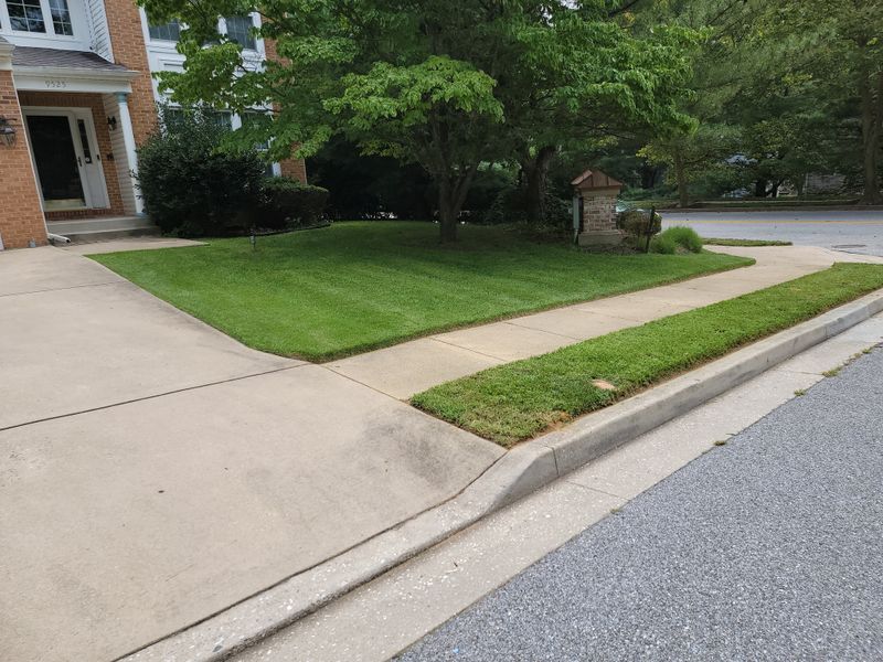 Beautiful Lawns