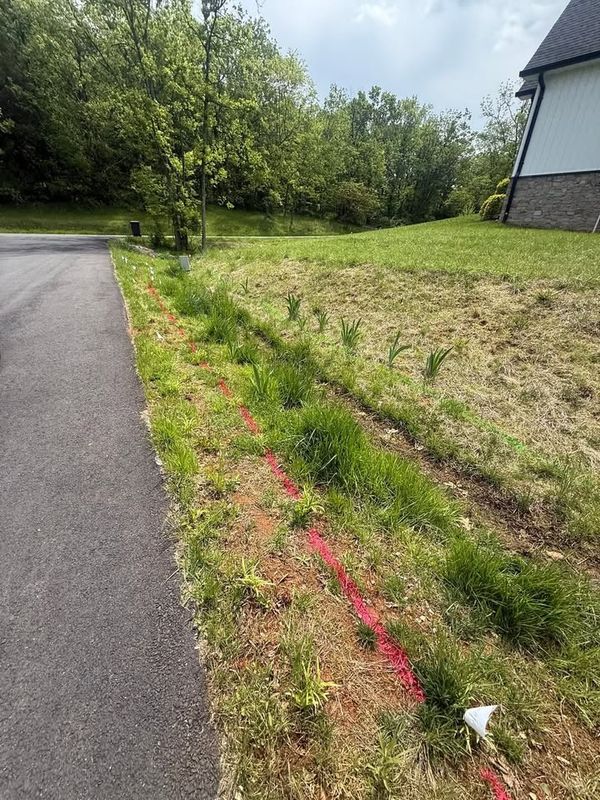 Mowing