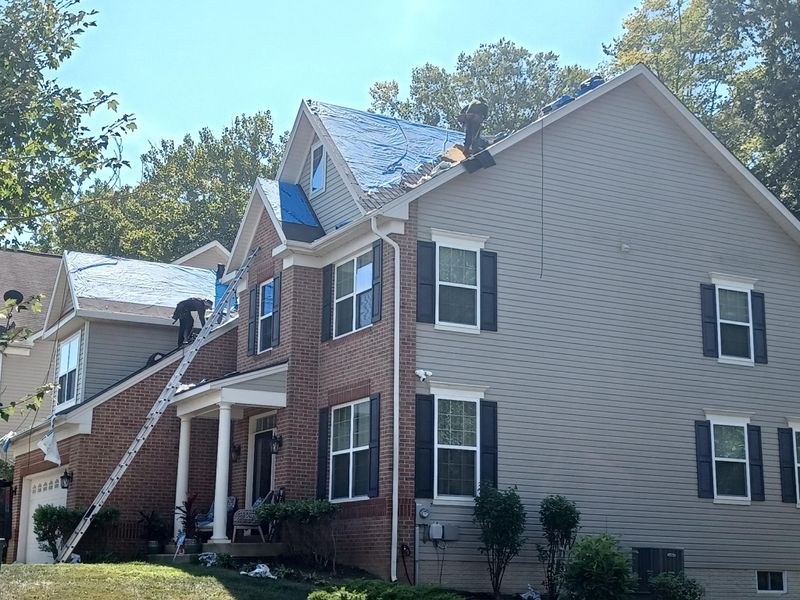 Shingle Roof Replacement