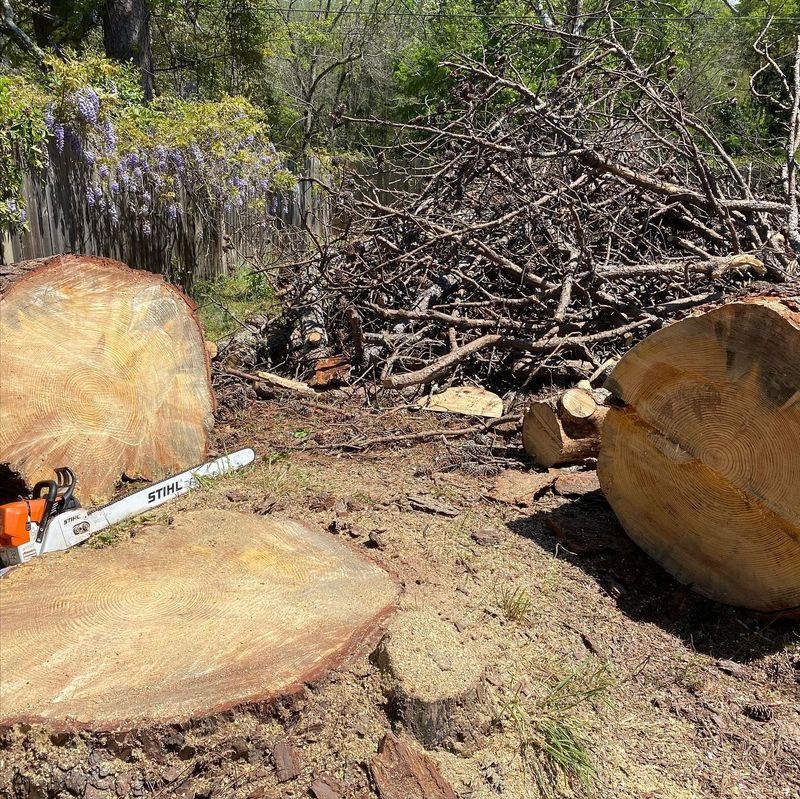 Tree Removal
