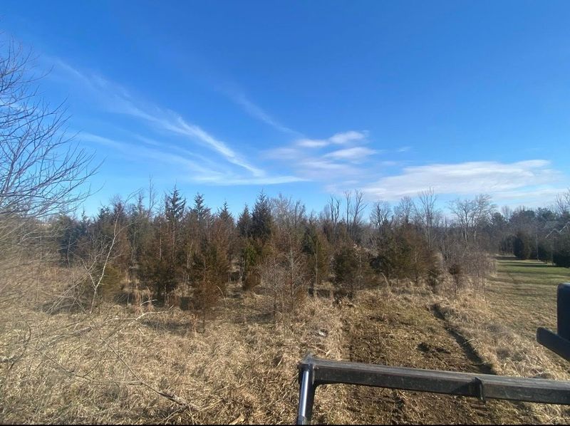 Land Clearing