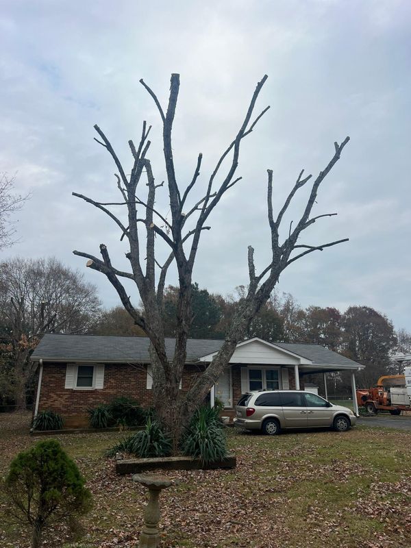 Fall Clean Up