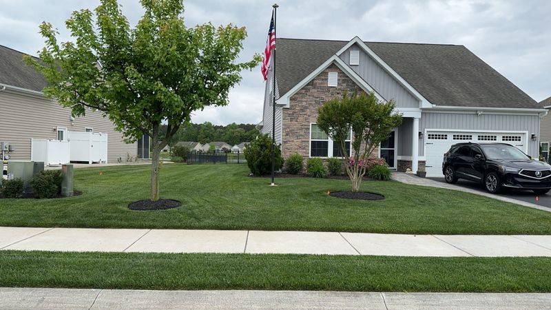 Lawn Mowing & Maintenance