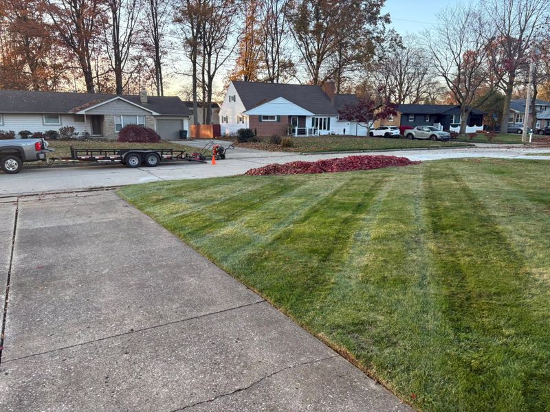 Lawn Maintenance
