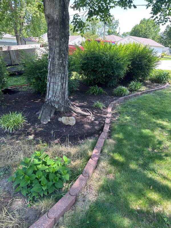 Plant & Shrub Installations