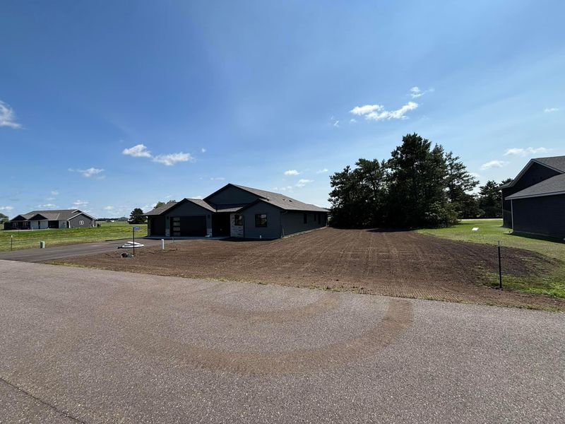 Lawn Seeding