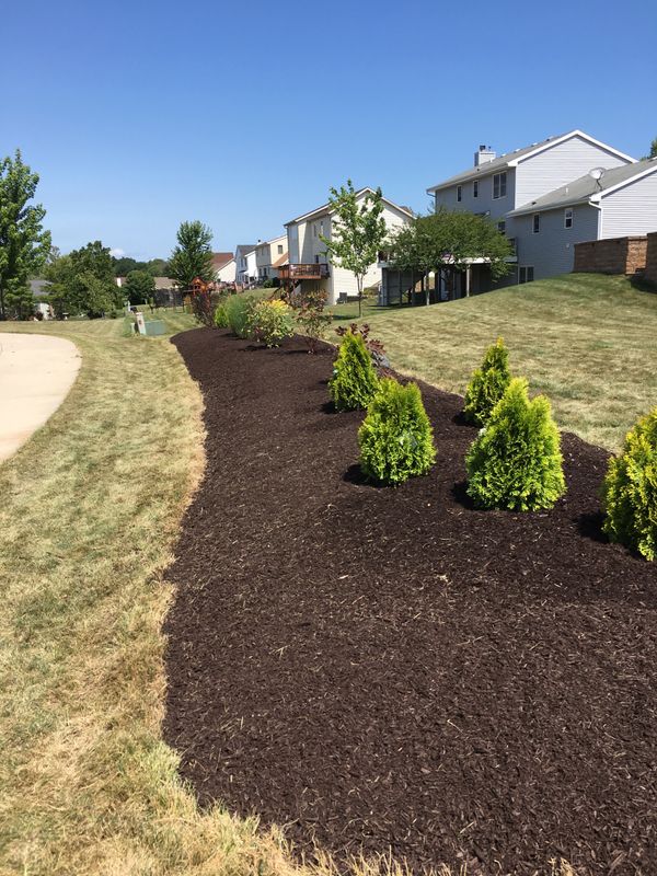 Landscaping