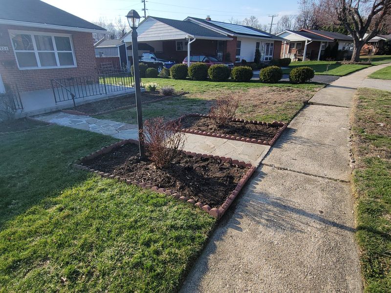 Beautiful Lawns