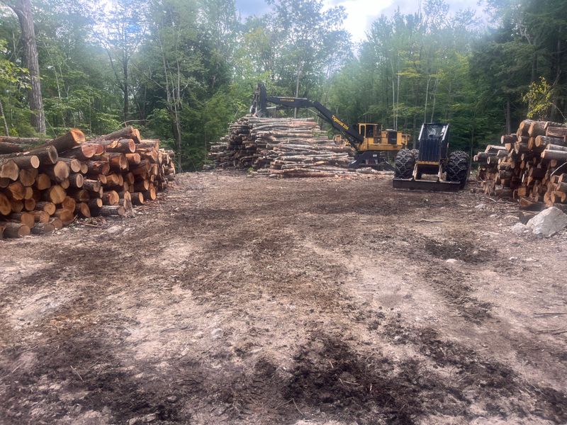 Land Clearing