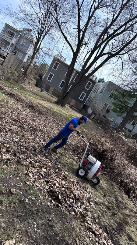 Leaf Removal