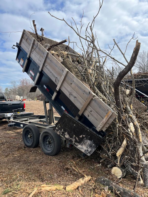 Fall Clean Up