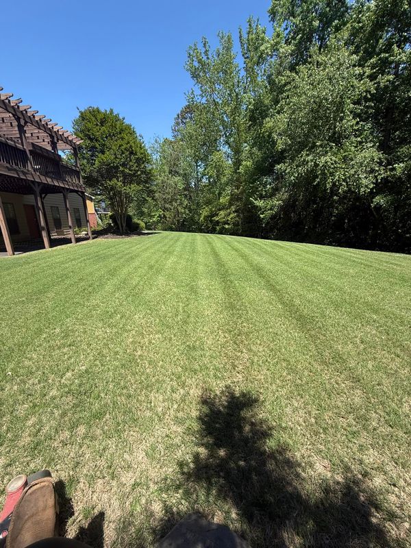Lawn Maintenance