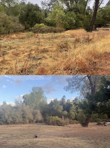 Land Clearing