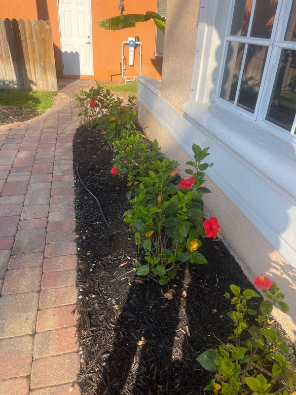 Landscaping