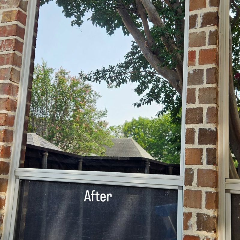 Residential Window Tint