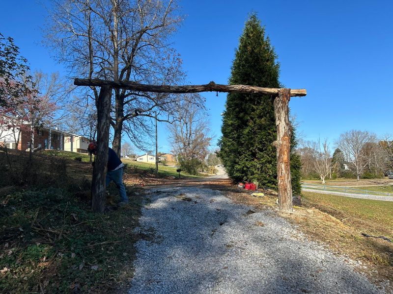 Land Clearing