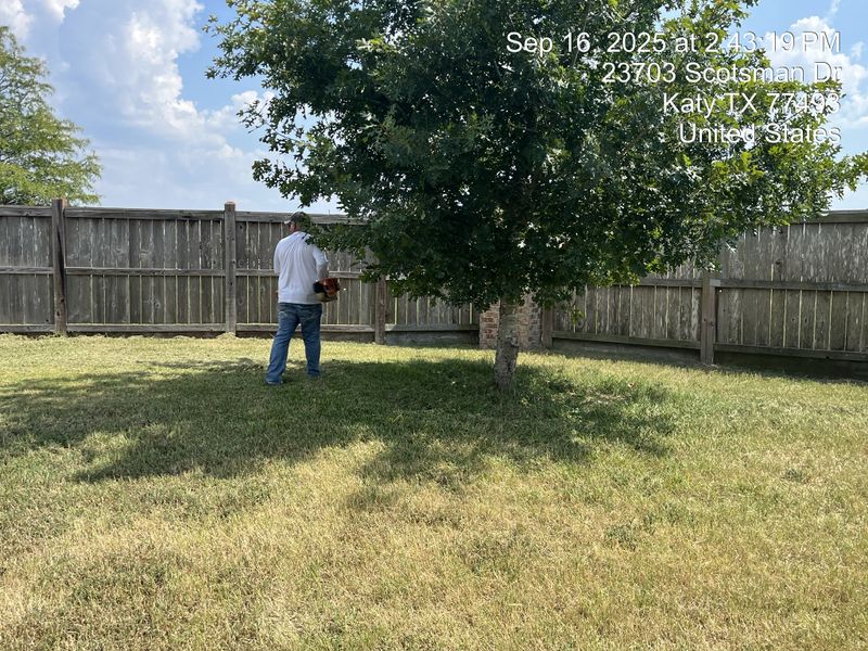 Tree trimming and removal