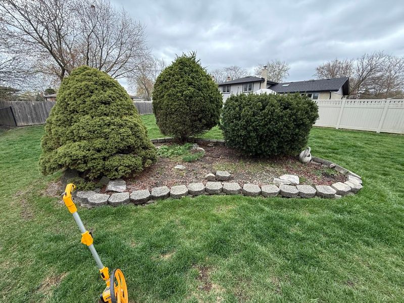 Tree and Shrub Care