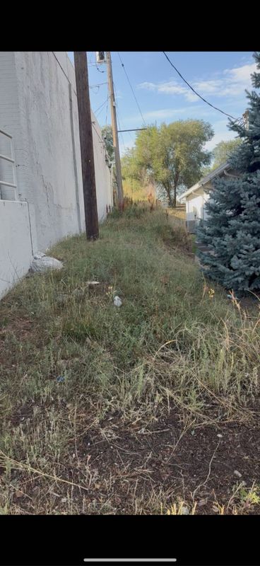 Lawn Maintenance