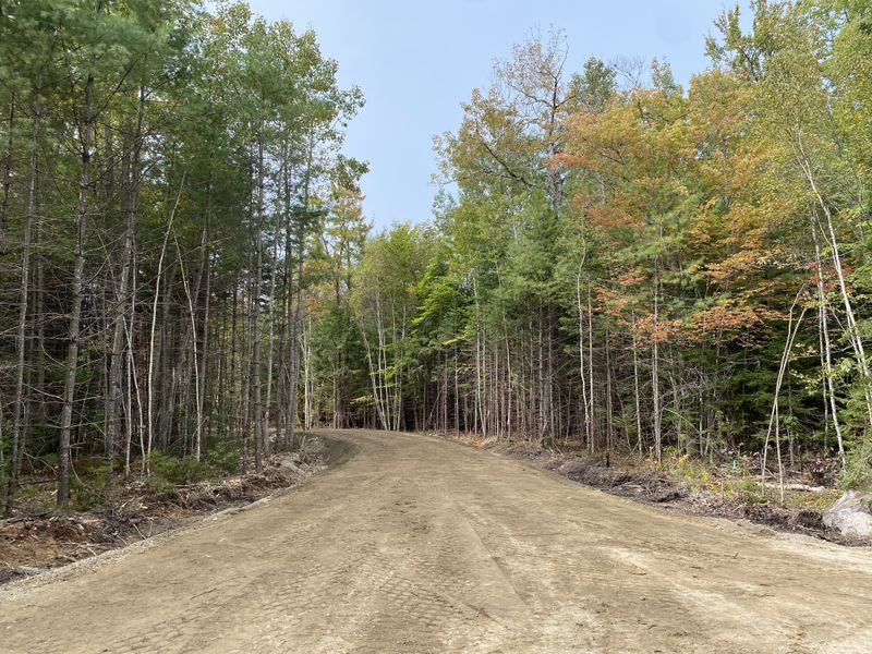 Land Clearing & Forestry Mulching