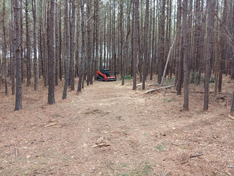 Forestry Mulching