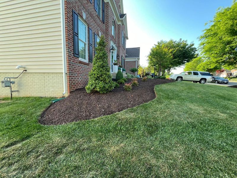 Mulch Installation