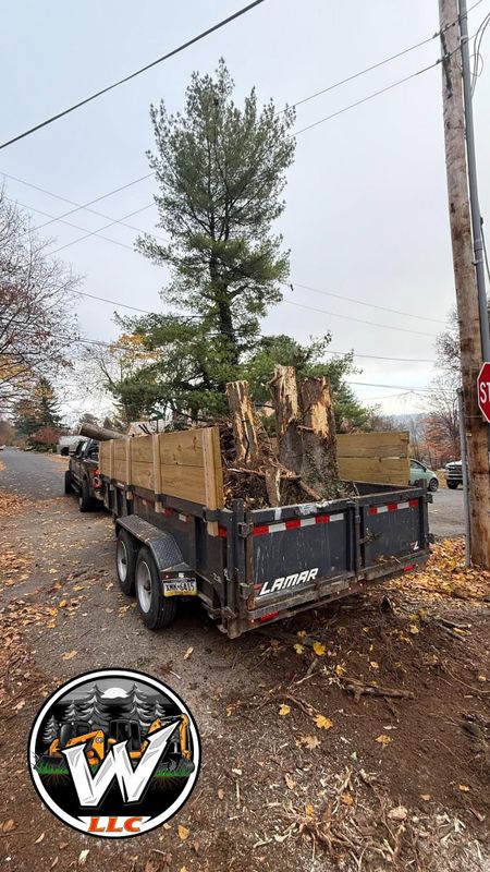 Tree Service