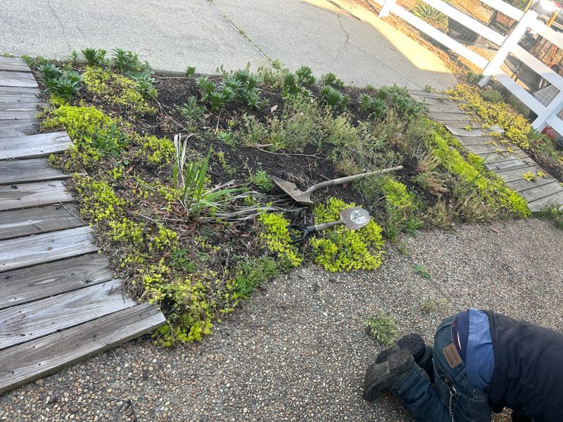 Flower Bed Installation  gallery
