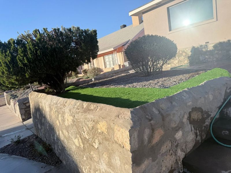 Lawn Installation And Maintenance