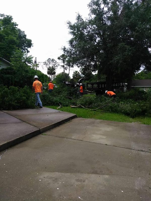 Forestry Mulching