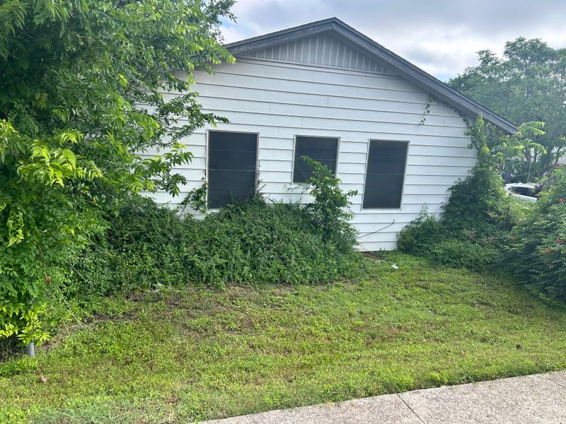 Shrubbery trimming and removal