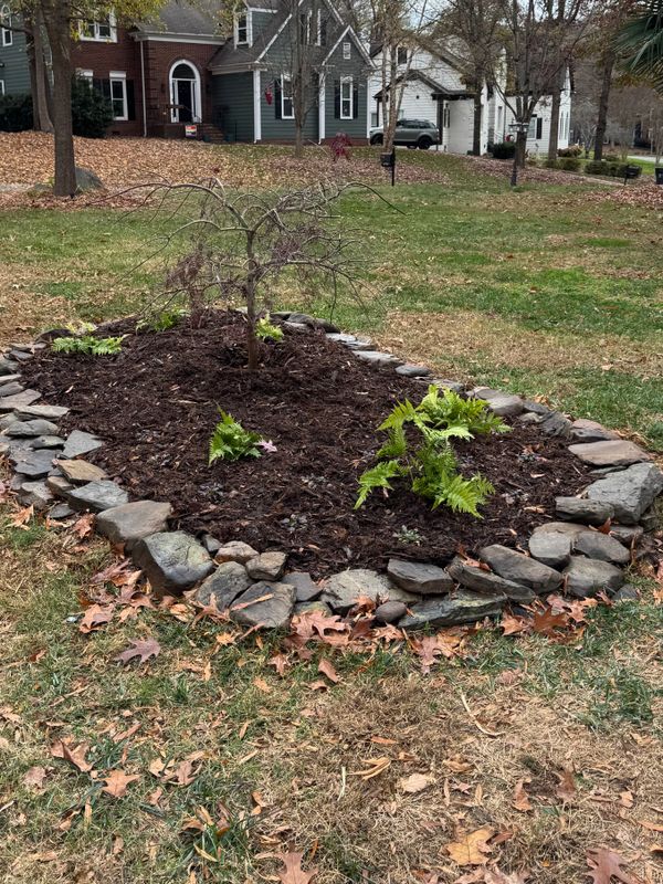 Landscape Installation