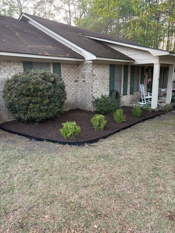 Tree & Shrub Care