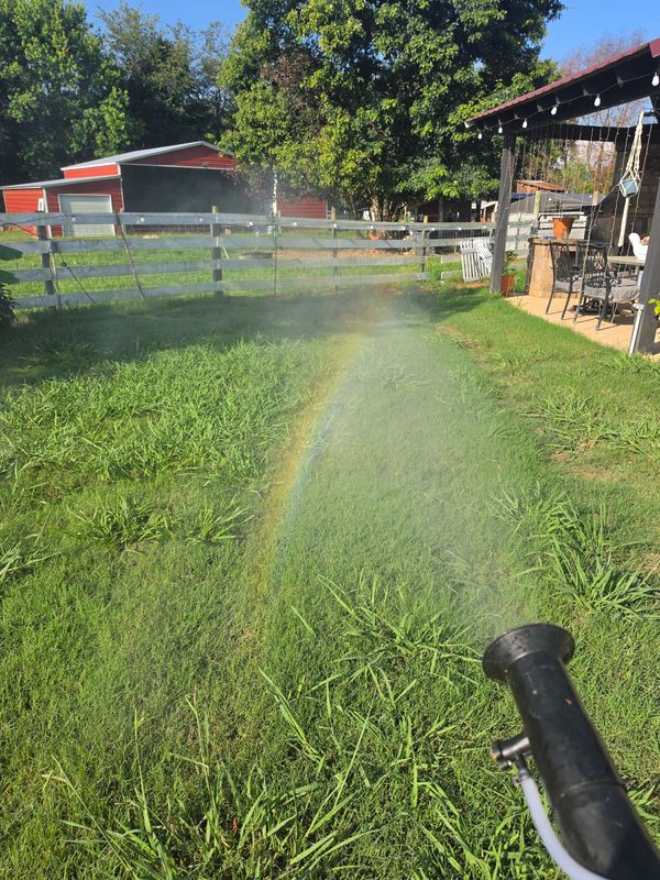 Mosquito Control