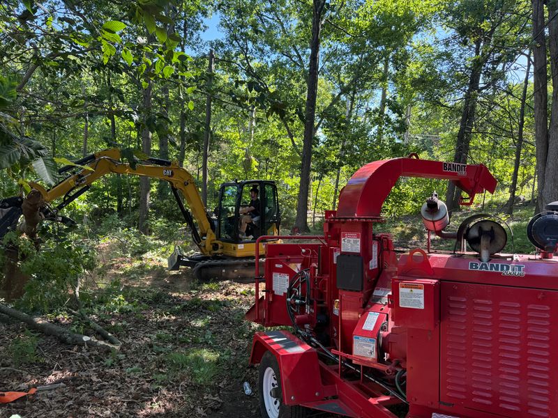 Tree Removal